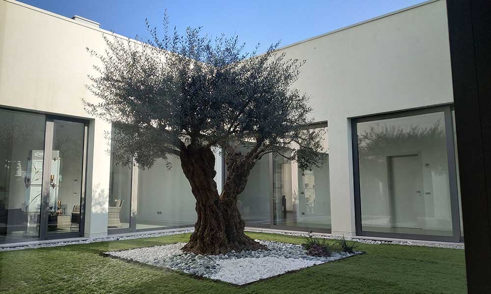 Casa funeraria Padova